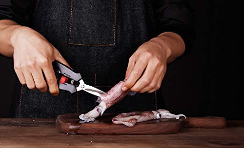 Premium Stainless Steel Seafood Scissors & Lobster Forks Set (8PCS) - Heavy Duty Crab Shell Crackers, Shrimp Scissors for Seafood Lovers - Perfect for Crab Legs, Lobster Tails, Shellfish & Seafood Parties