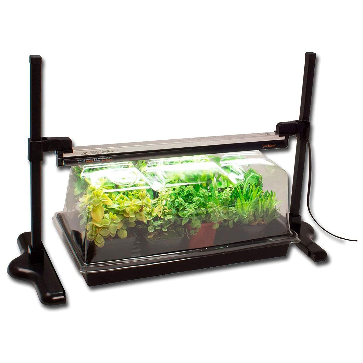SunBlaster SL1600227 Mini Greenhouse Kit with Stand - Indoor/Outdoor Plant Growing, Seed Starter, Herb Garden for Home, Patio & Balcony