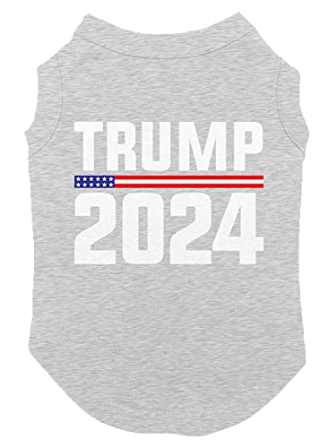 Light Gray - 2024