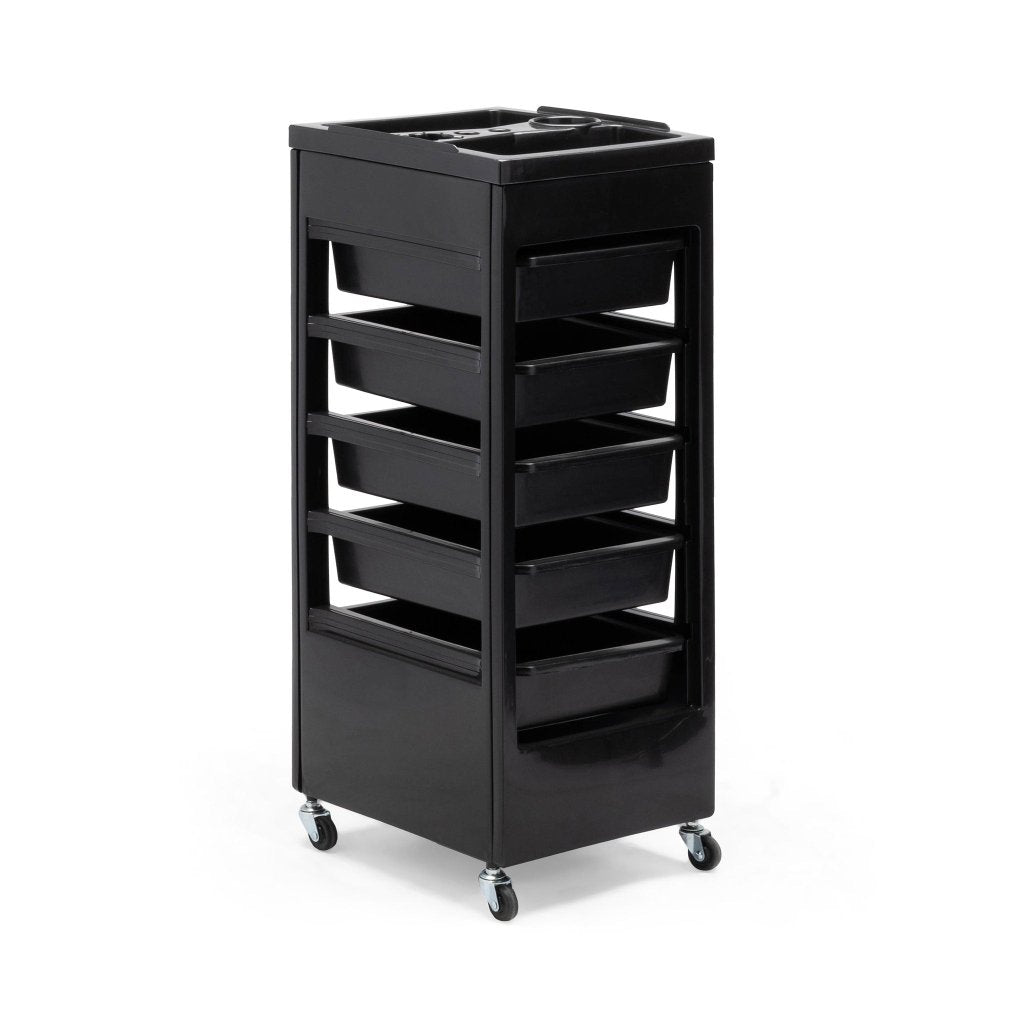 Lanvain Professional Salon Hair Trolley Cart with Wheels - Portable Beauty Salon Hairdressing Tool for Stylists, Barbers & Home Use