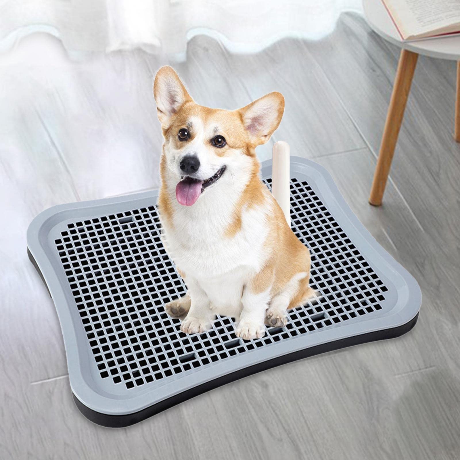 **Easy Clean Pet Potty Training Tray for Puppies & Kittens - Durable Litter Box with Training Pads for Small Animals (Black) - Perfect for Indoor Housebreaking & Crate Training**