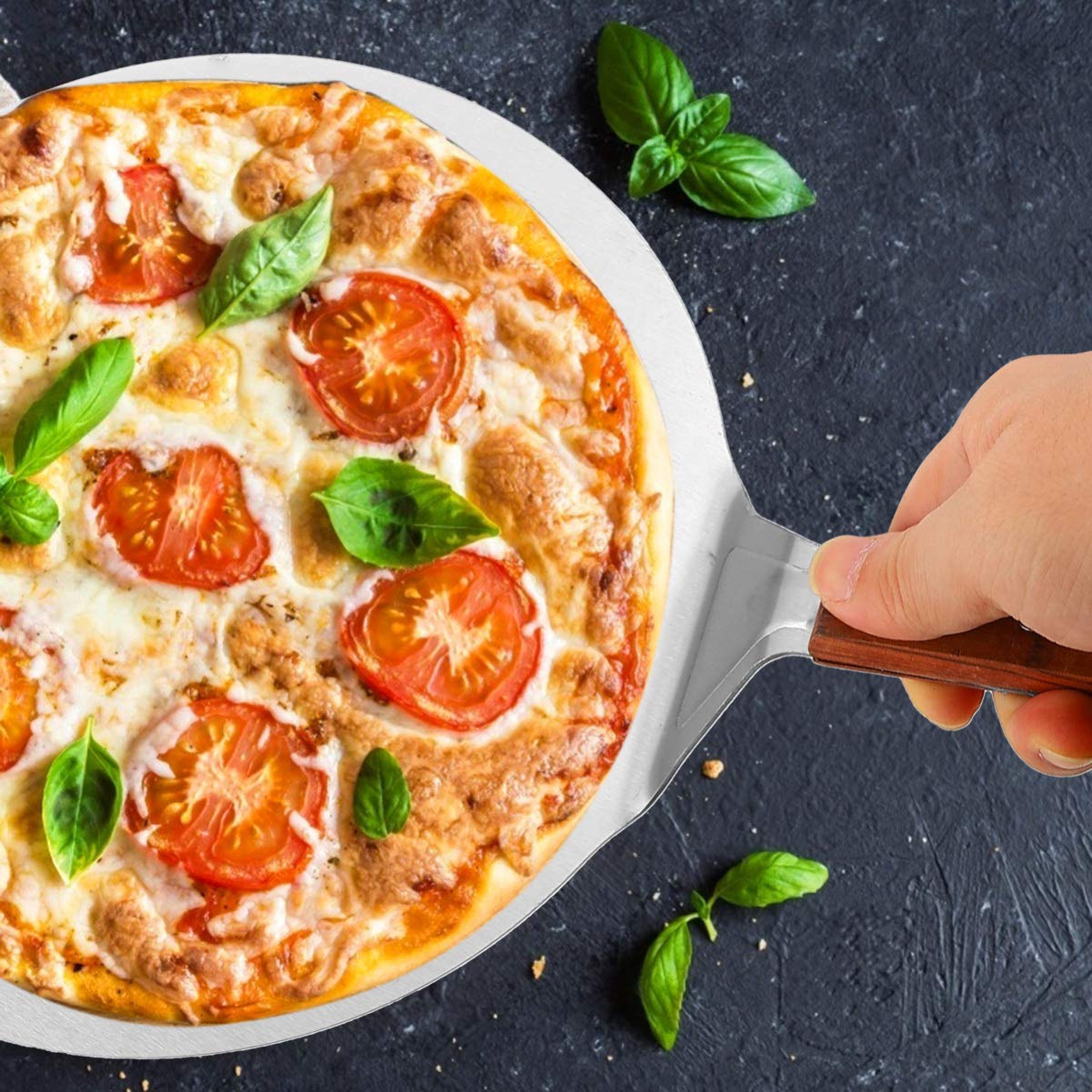 DOITOOL Stainless Steel Pizza Spatula - Professional Pizza Peel for Baking, Serving & Transferring - Perfect for Kitchen, Restaurants & Outdoor BBQ - Non-Stick Pizza Turner, Cake Lifter & Bread Server Tool