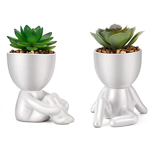 White Ceramic Pot B Green Succulent