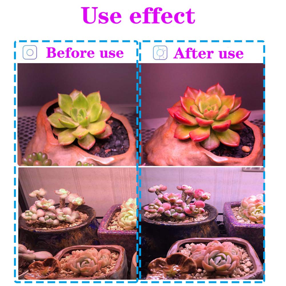 6-Pack T5 LED Full Spectrum Grow Light Strips - 2FT 60W (6 x 10W, 500W Equivalent) Integrated Plant Growing Lamp Fixture - Plug & Play Easy Installation for Indoor Plants, Greenhouse, Hydroponics & Vertical Farming - Perfect for Seedlings, Herbs & Succulents