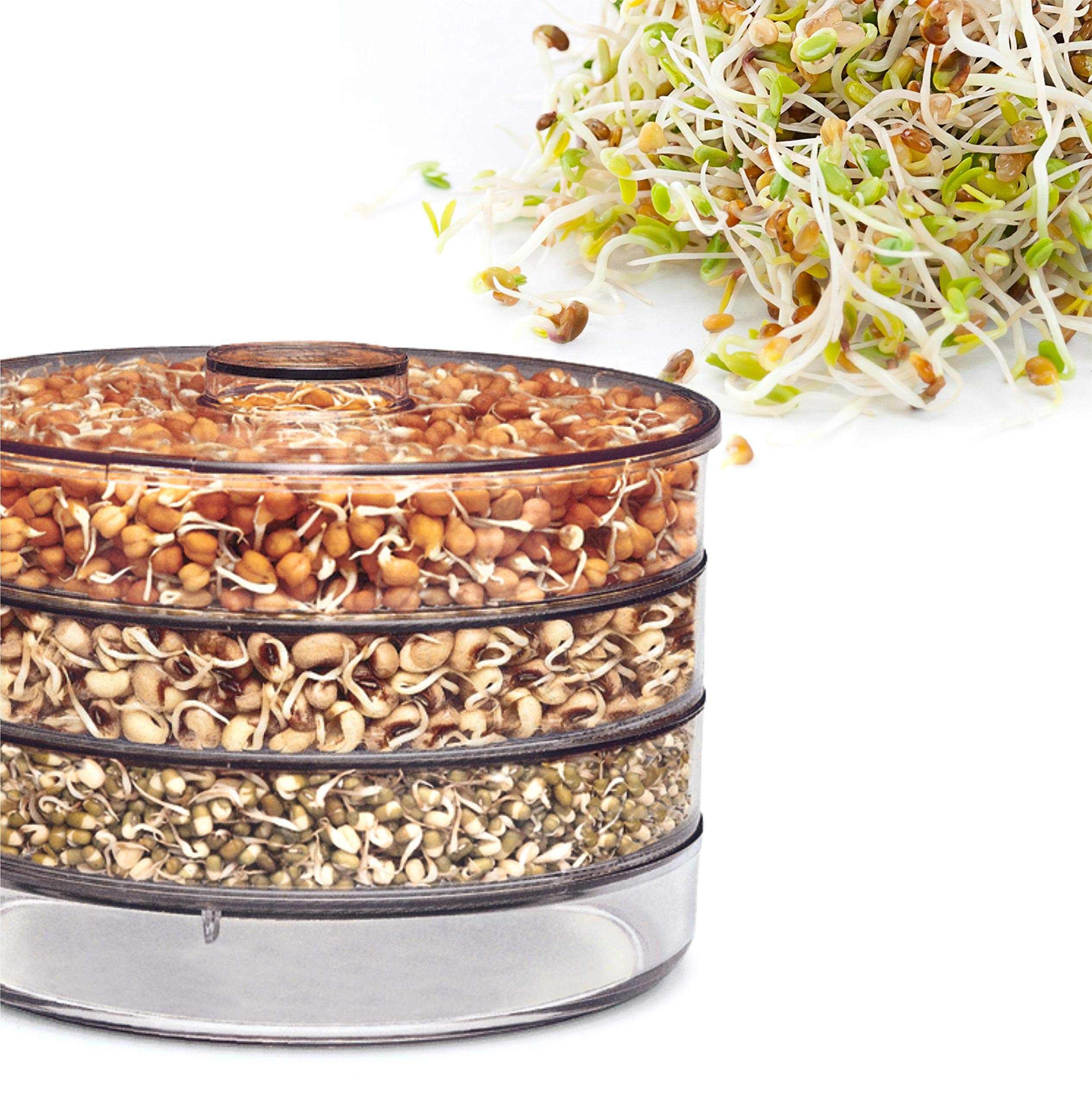 Organic Sprout Maker Kit with 4 Containers - Hygienic Home Sprouting System for Beans, Seeds & Grains | Fresh Healthy Sprouts for Salads, Sandwiches & Smoothies | IcyFlame 4-Bowl Sprout Growing Box