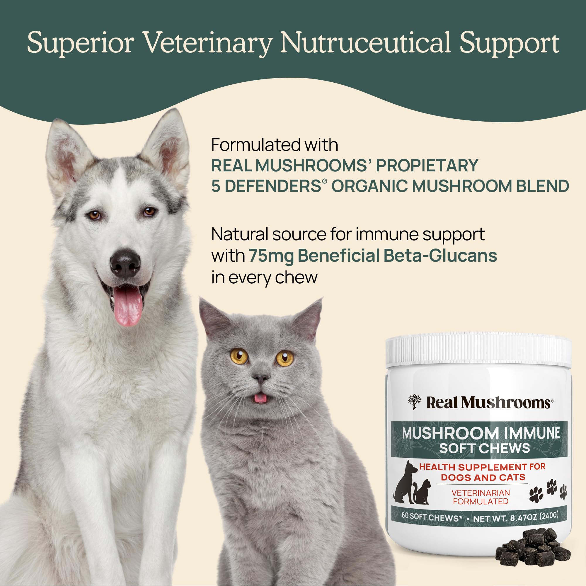 Premium Mushroom Immune Support Chews for Dogs & Cats - 60ct Pet Treats with Ashwagandha, Astragalus, Blueberry & Olive Leaf | Gut Health Booster Supplement | Supports Immunity & Digestion - Perfect for Daily Wellness & Senior Pets