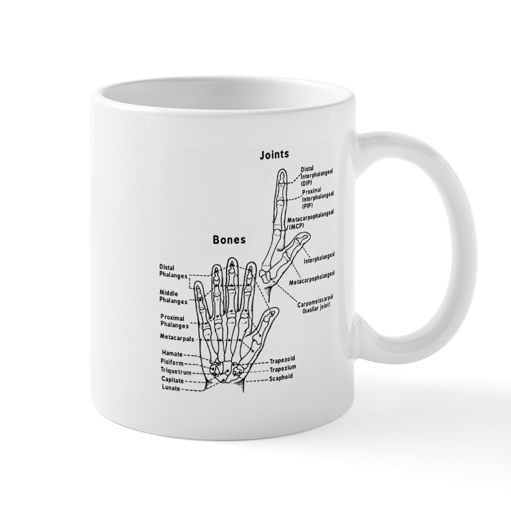 Hand Anatomy Coffee Mug - 11 oz (325 ml) Ceramic Cup for Doctors, Nurses & Medical Students | Perfect Gift for Anatomy Lovers, Office Use & Study Sessions