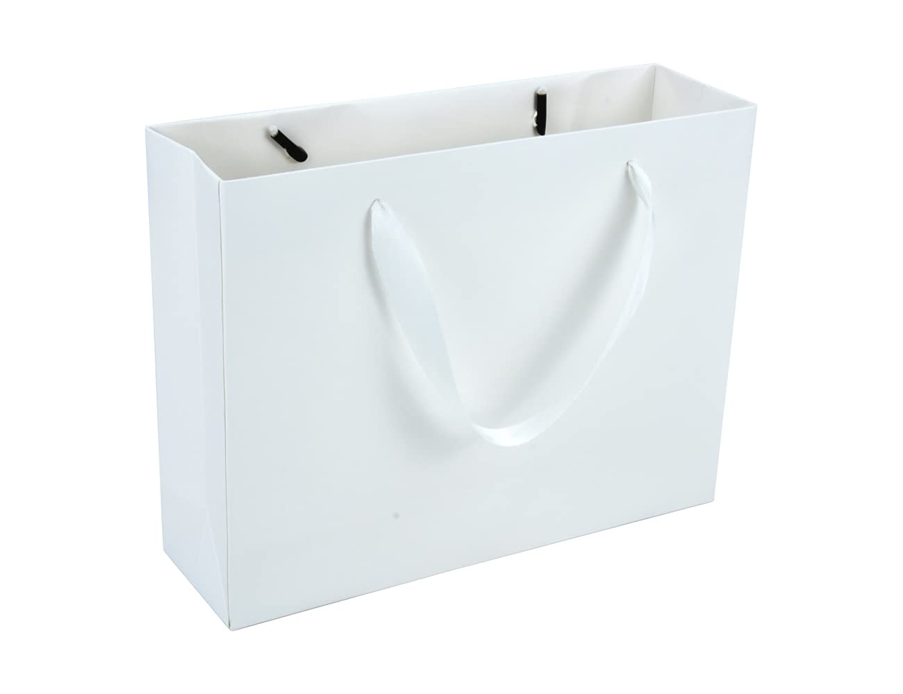 HUAPRINT White Paper Gift Bags with Ribbon Handles - 20 Pack, 10.6x8.3x3.1 Inches - Eco-Friendly Retail Shopping Bags for Clothing, Party Favors, Wedding Gifts & Merchandise | Perfect for Boutique Packaging, Bridal Showers & Small Business Branding