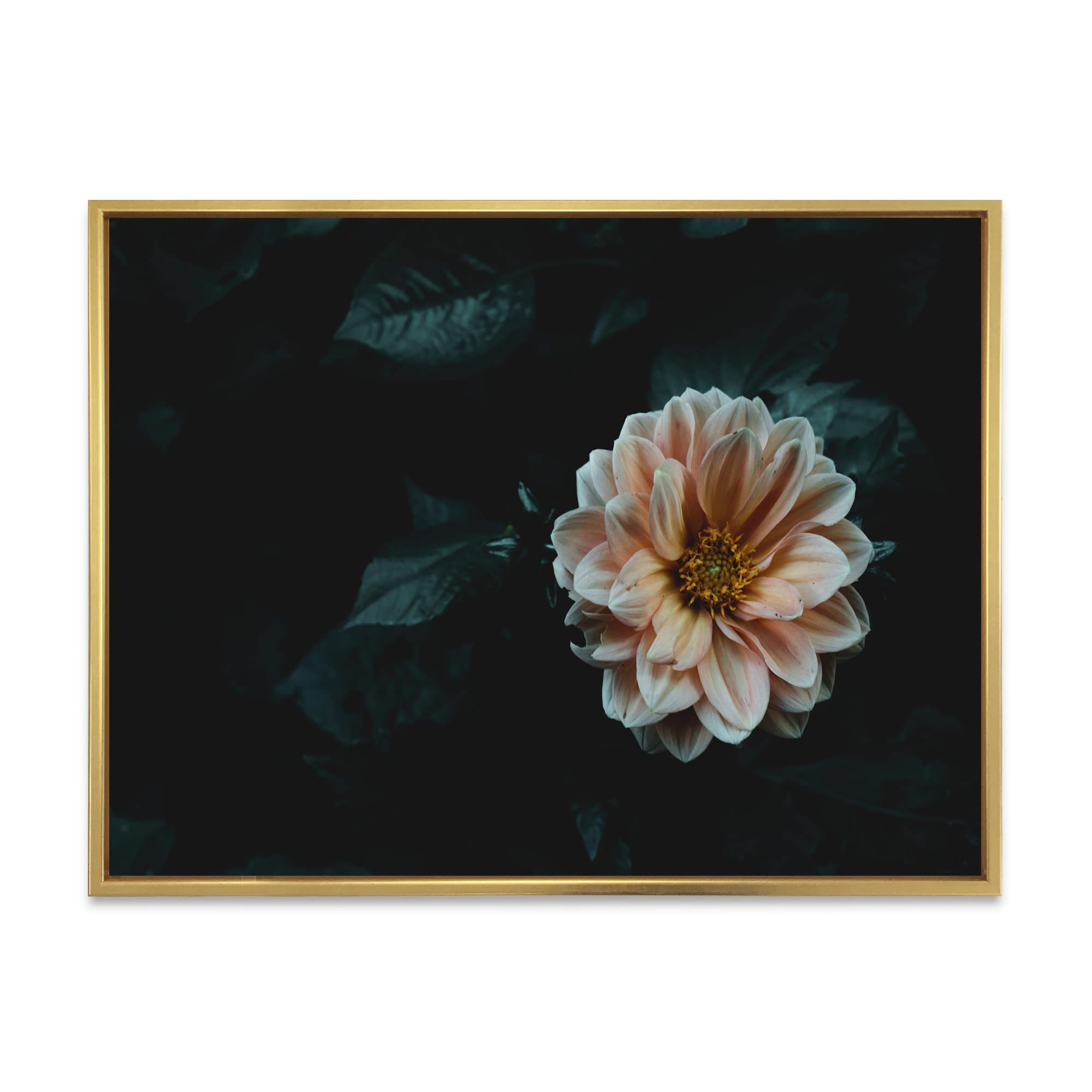 Blooming Yellow Flower in Evening Garden - Traditional Framed Canvas Wall Art Print for Home Decor, Living Room, Bedroom & Office