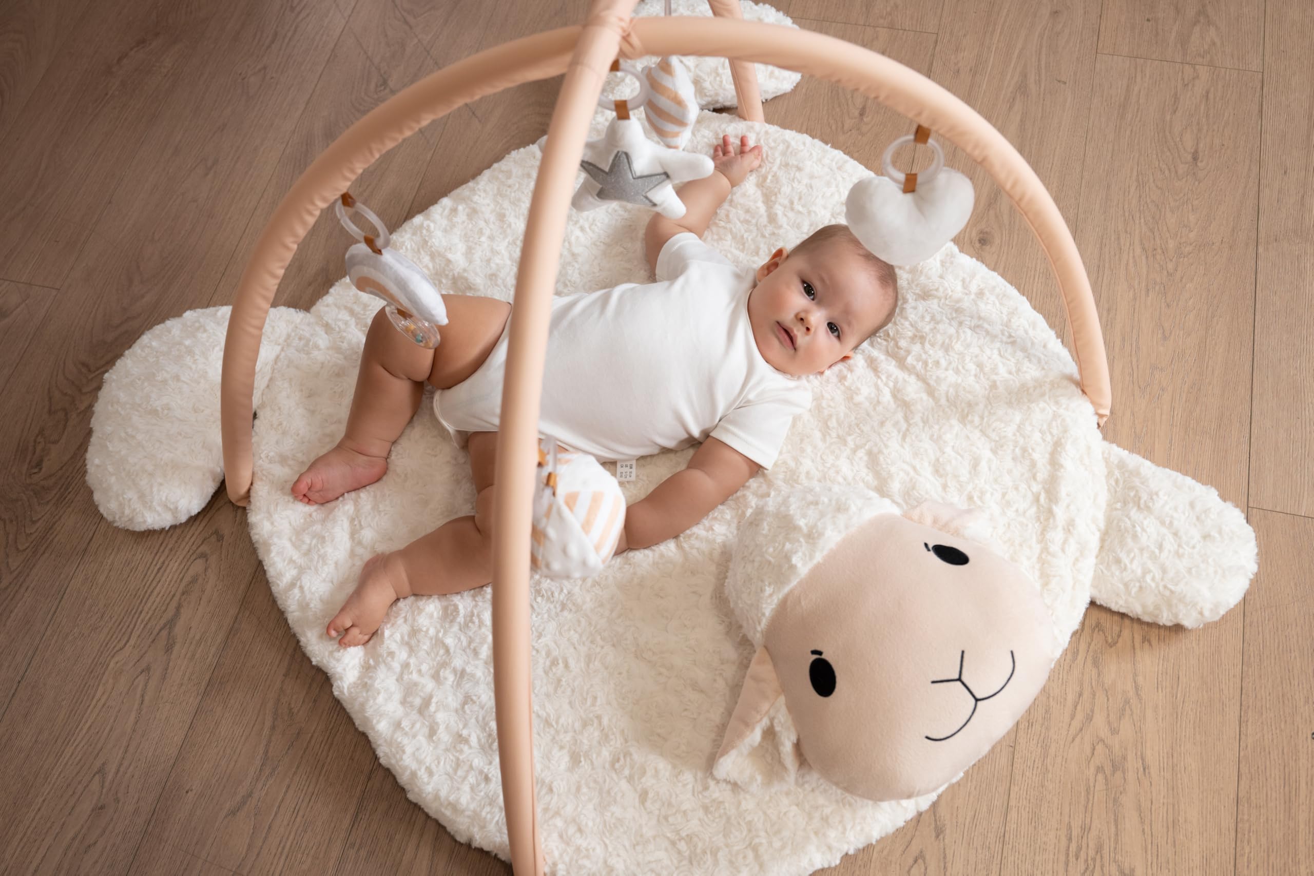 LADIDA Baby Play Mat with 5 Toys for Tummy Time & Sensory Development - Washable Activity Mat for Infants