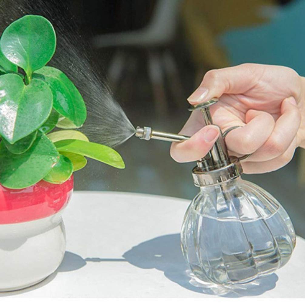 DOITOOL 16oz Glass Spray Bottle for Plants - Refillable Water Mister for Flowers, Cleaning, and Home Use - Perfect for Gardening, Hair Care, and DIY Cleaning Solutions