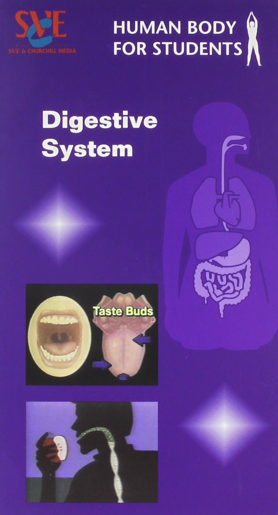 Human Digestive System Educational Video for Students - Learn Anatomy & Physiology | Perfect for Classroom Teaching & Homeschooling