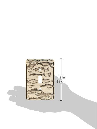 3D Printed Antique Chart of Freshwater and Saltwater Fish Light Switch Cover - Decorative Wall Plate for Home, Office, and Classroom Decor
