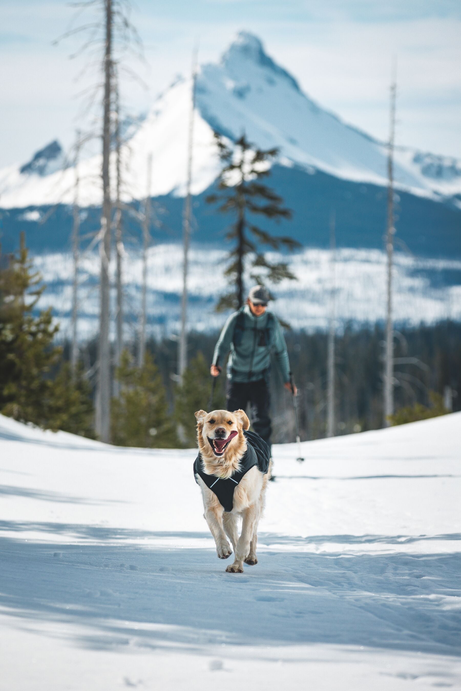 Ruffwear® Quinzee™ Insulated & Foldable Dog Jacket - Obsidian Black | Waterproof & Warm Winter Coat for Outdoor Adventures