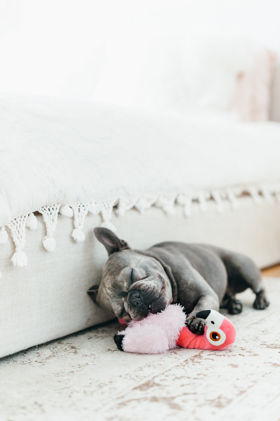 Flora the Flamingo Plush Dog Toy - Soft & Durable Fetching Flock™ Chew Toy for Small & Medium Dogs | Perfect for Playtime, Training & Cuddling | Pet P.L.A.Y.