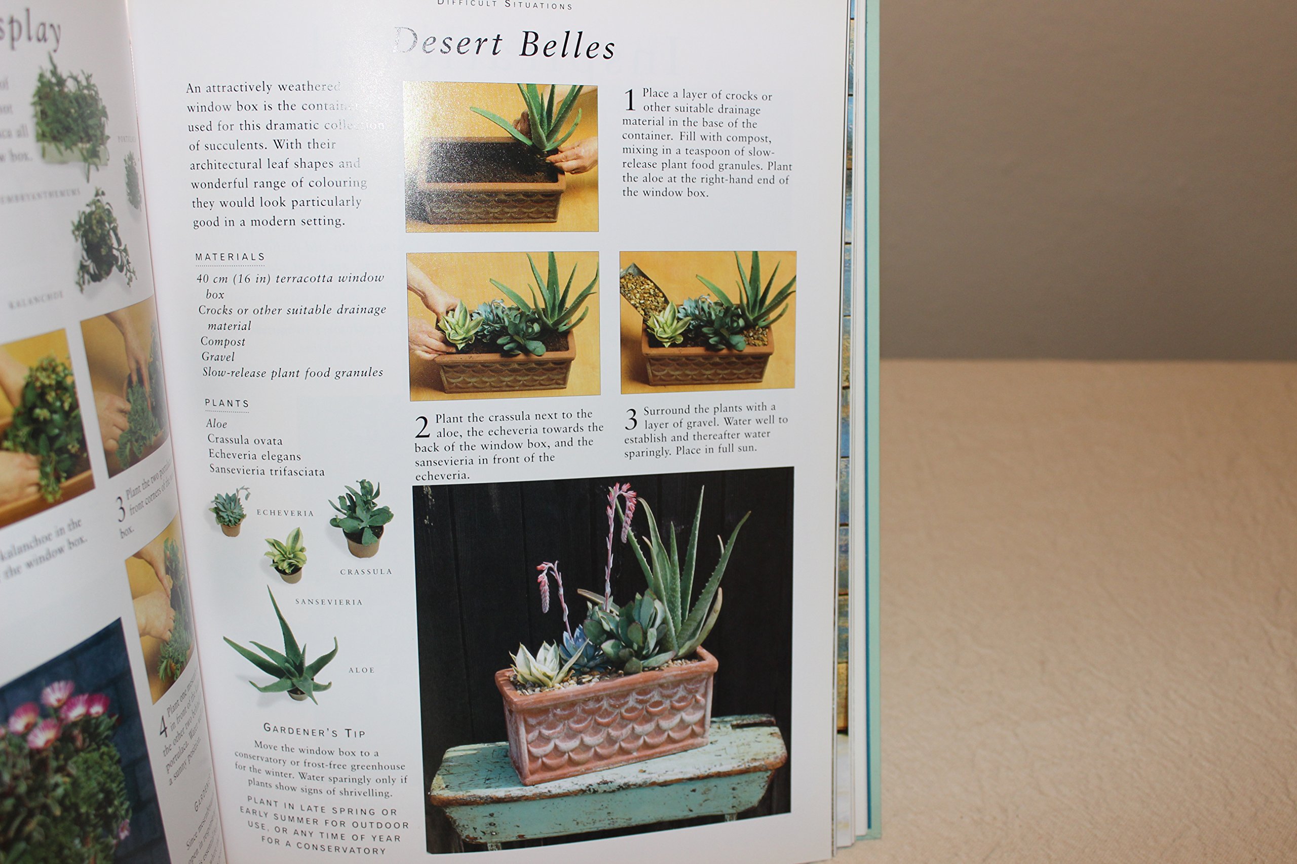 Best Container Gardening Kits for Home & Balcony - Grow Fresh Herbs, Flowers & Vegetables Easily - Perfect for Urban Gardening & Small Spaces