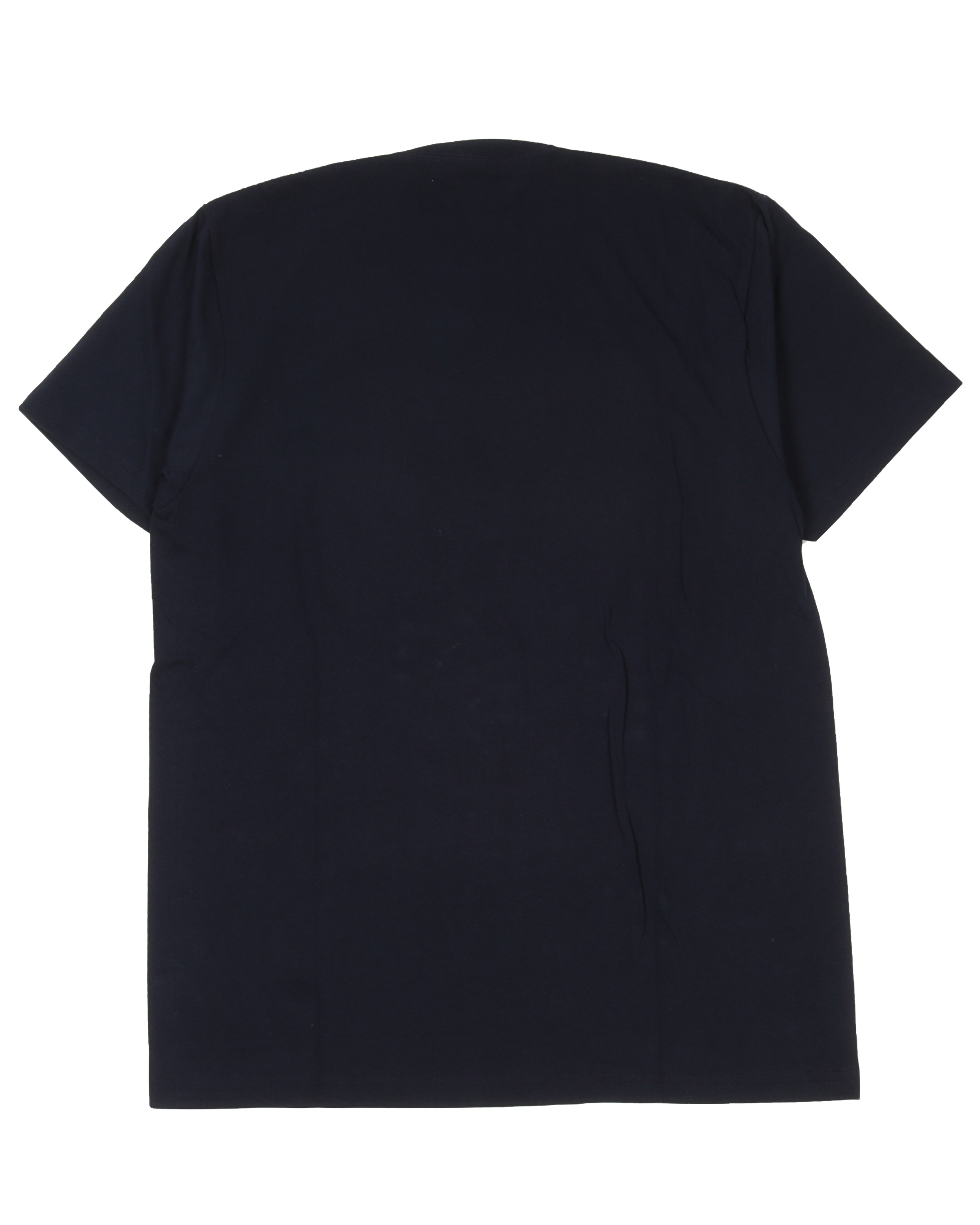 2015 Neil Young Vintage Photo T-Shirt - Classic Rock Band Tee for Concerts & Casual Wear