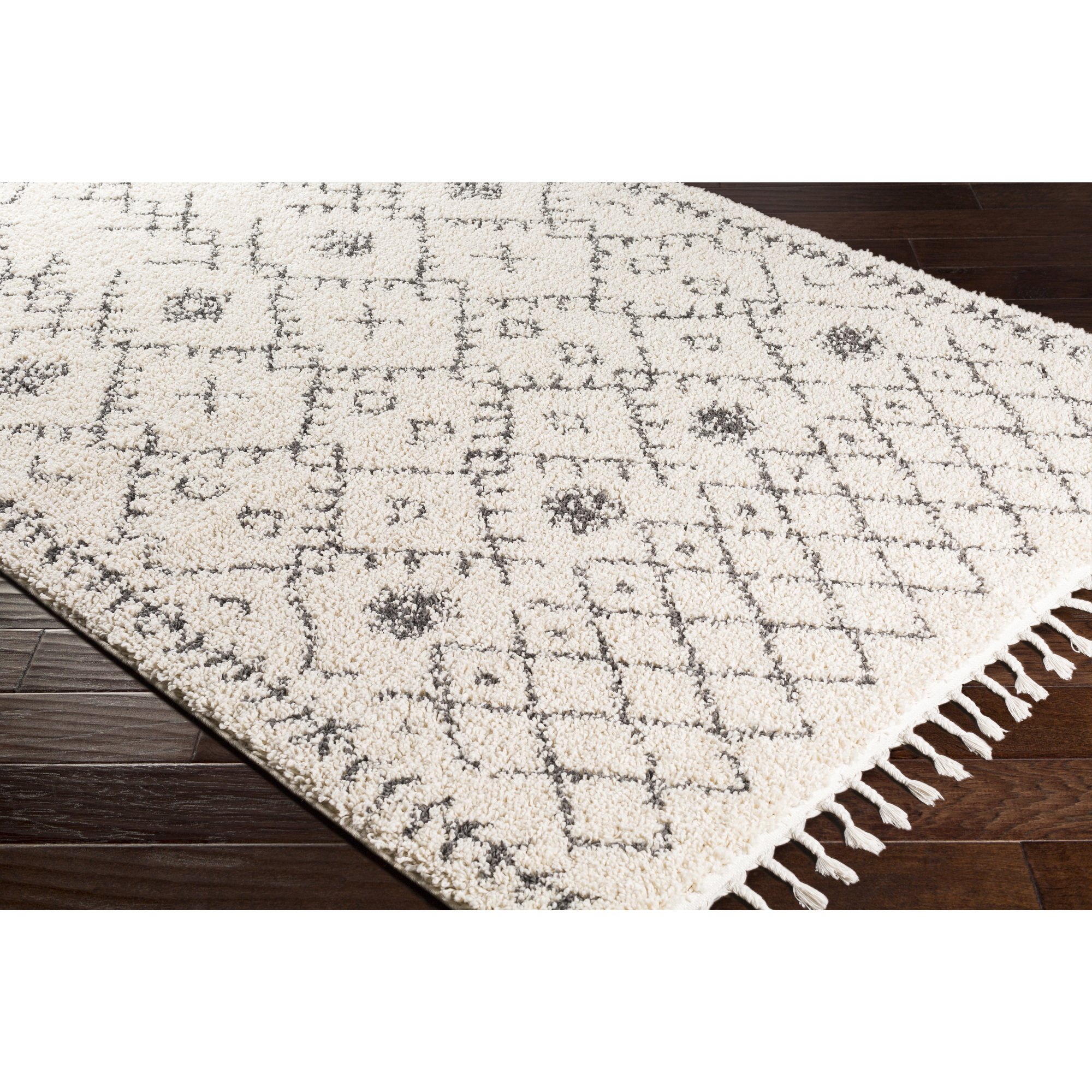 Bohemian Style Ivory and Charcoal Area Rug 2' x 3' - Perfect for Living Room, Bedroom, or Office Decor