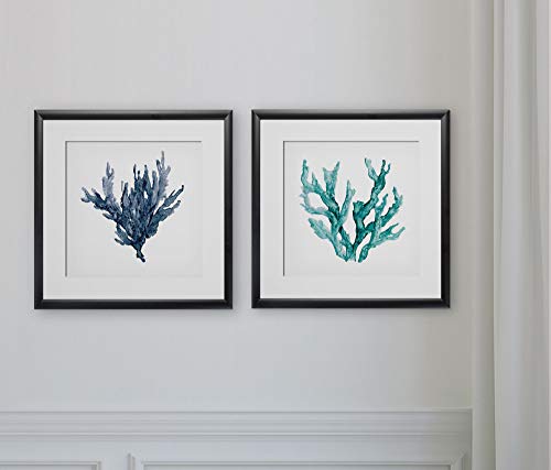 Sea Coral