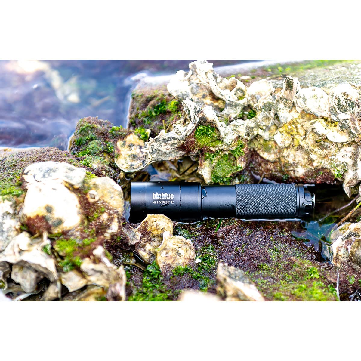 Bigblue AL 1300 Lumen Professional Scuba Diving Flashlight - Narrow Beam Underwater Light with Tail Switch for Night Diving, Cave Exploration & Marine Photography