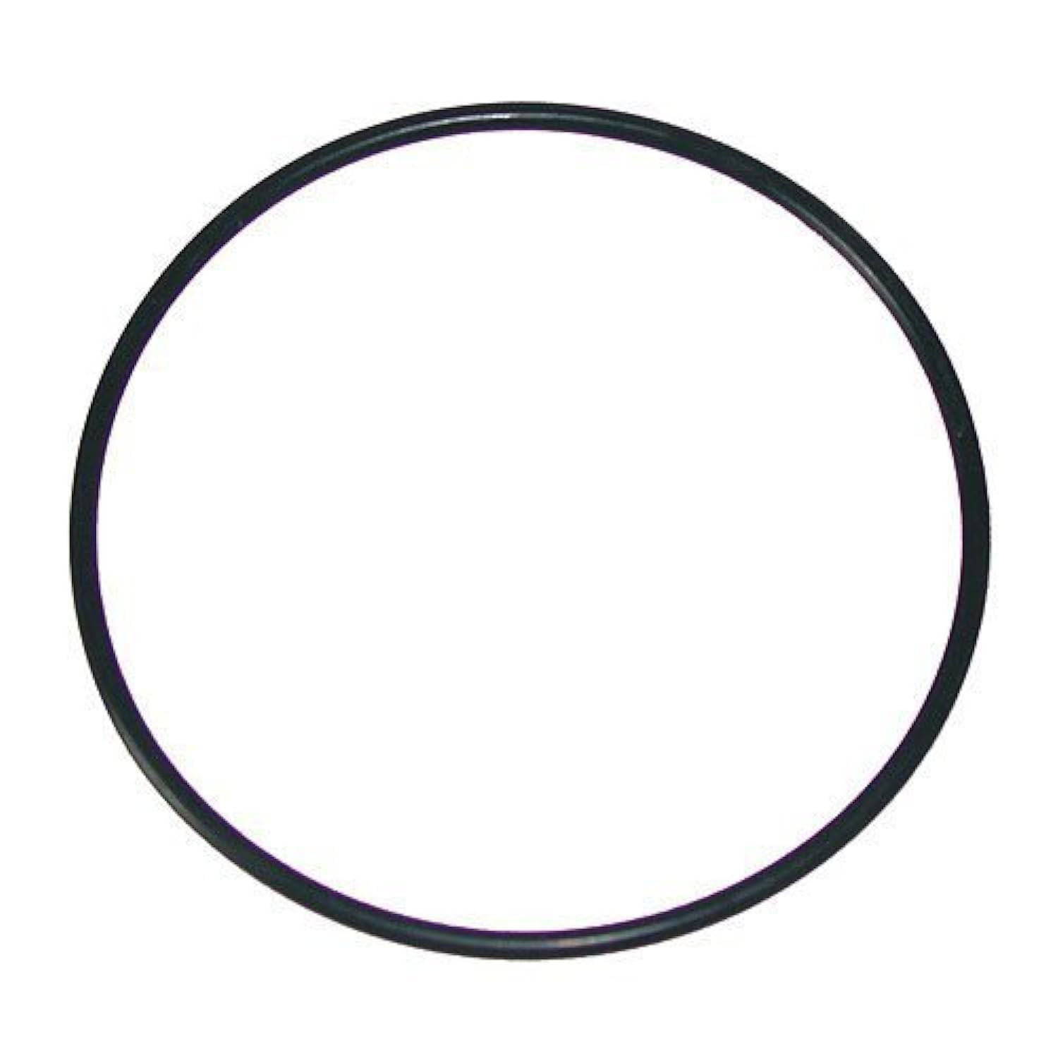 Waterway Swing Valve O-Ring 805-0239B Replacement Part - Compatible with Pool & Spa Equipment - Durable Sealing Ring for Waterway Valves (Great for Pool Maintenance & Repair)