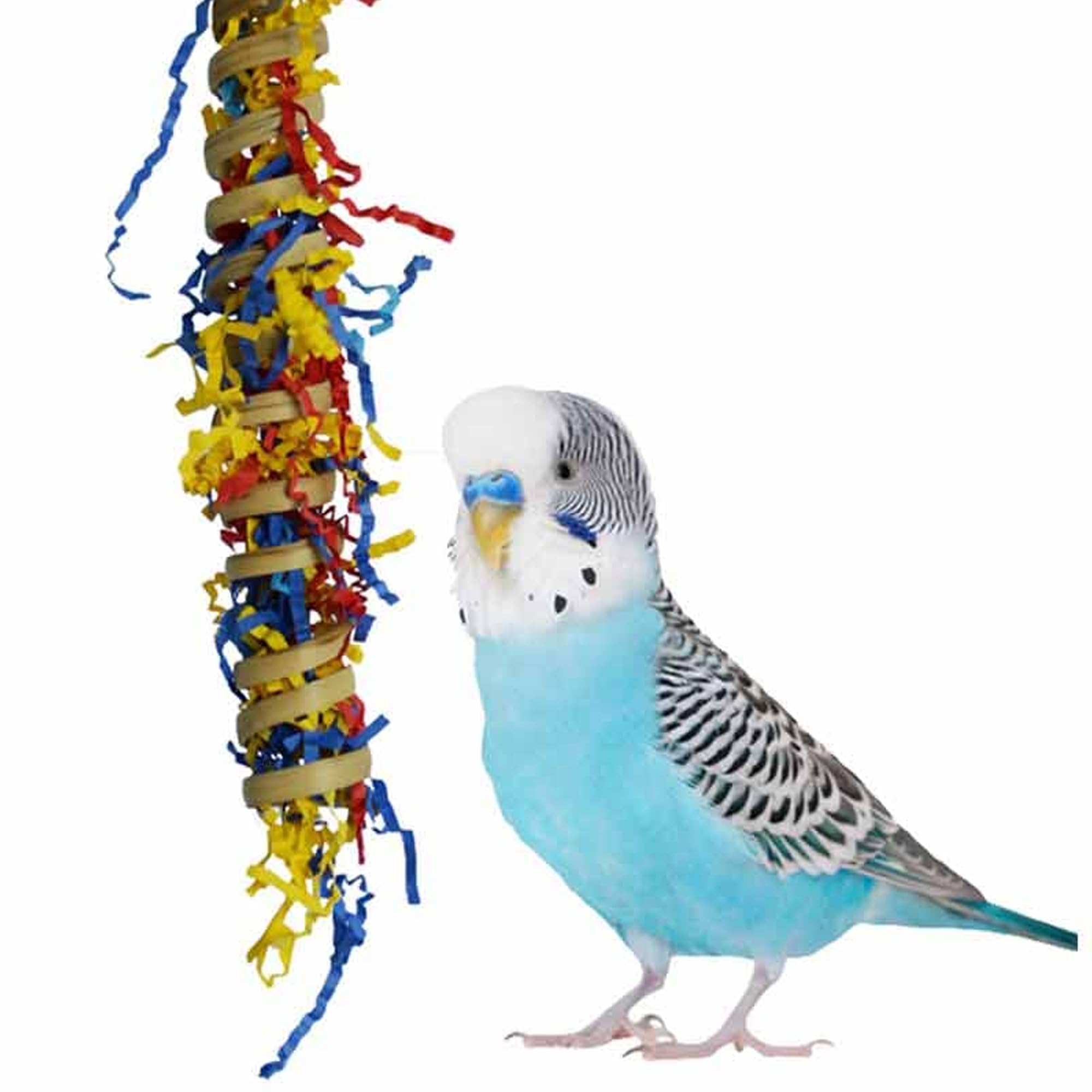 Super Bird Creations SB779 Fiesta Millet Holder Foraging Toy - Handmade Bird Toys with Curly Palm Spring & Crinkle Paper, Interactive Foraging Toys for Small to Medium Birds, Perfect Cockatiel & Parakeet Toys (9
