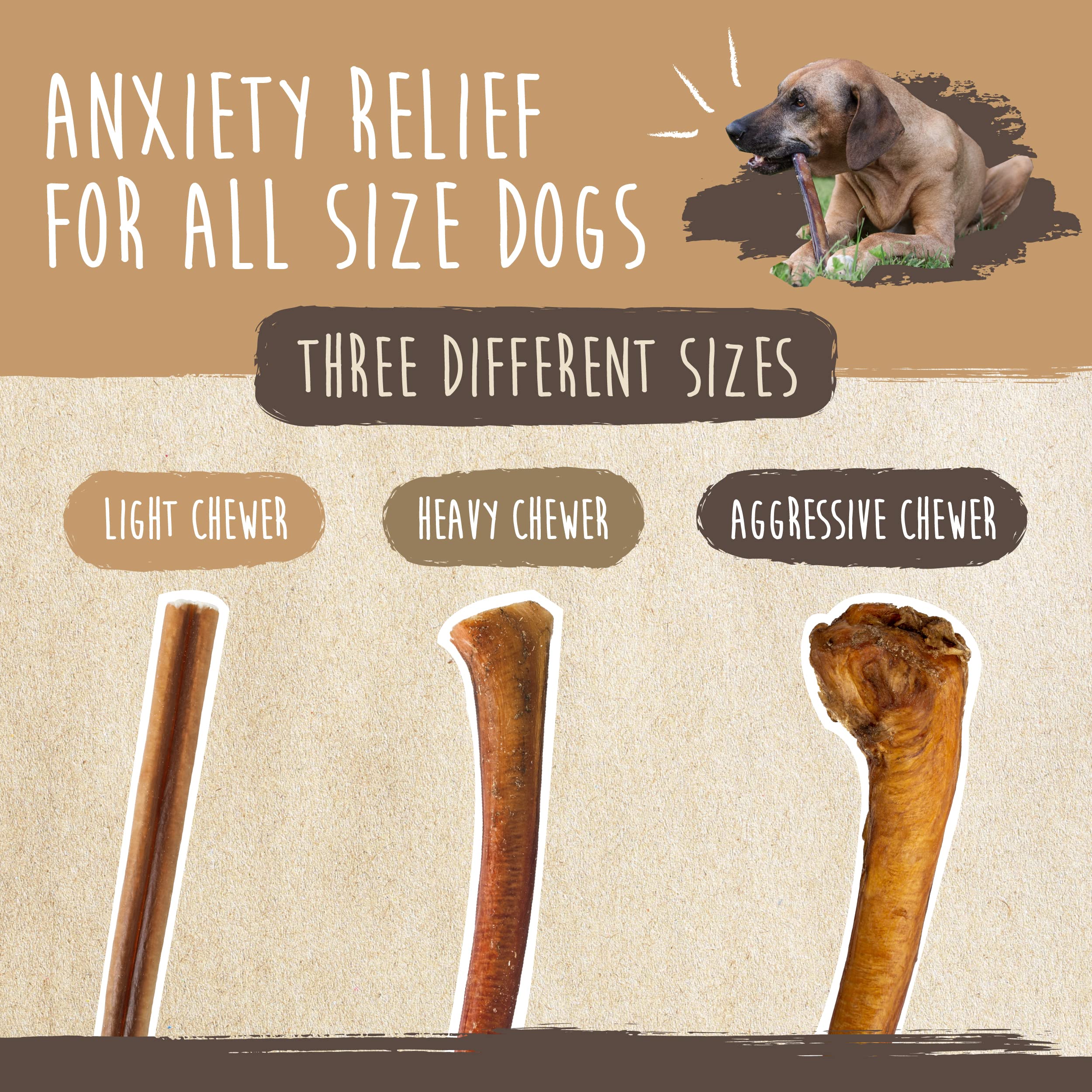 Premium Grass-Fed Beef Bully Sticks for Dogs - All-Natural, Low Odor Dog Chews for Small, Medium & Large Breeds (6 or 10 Pack) | Single Ingredient Dental Treats for Puppies & Adult Dogs - Perfect for Training, Teething & Long-Lasting Chewing Satisfaction