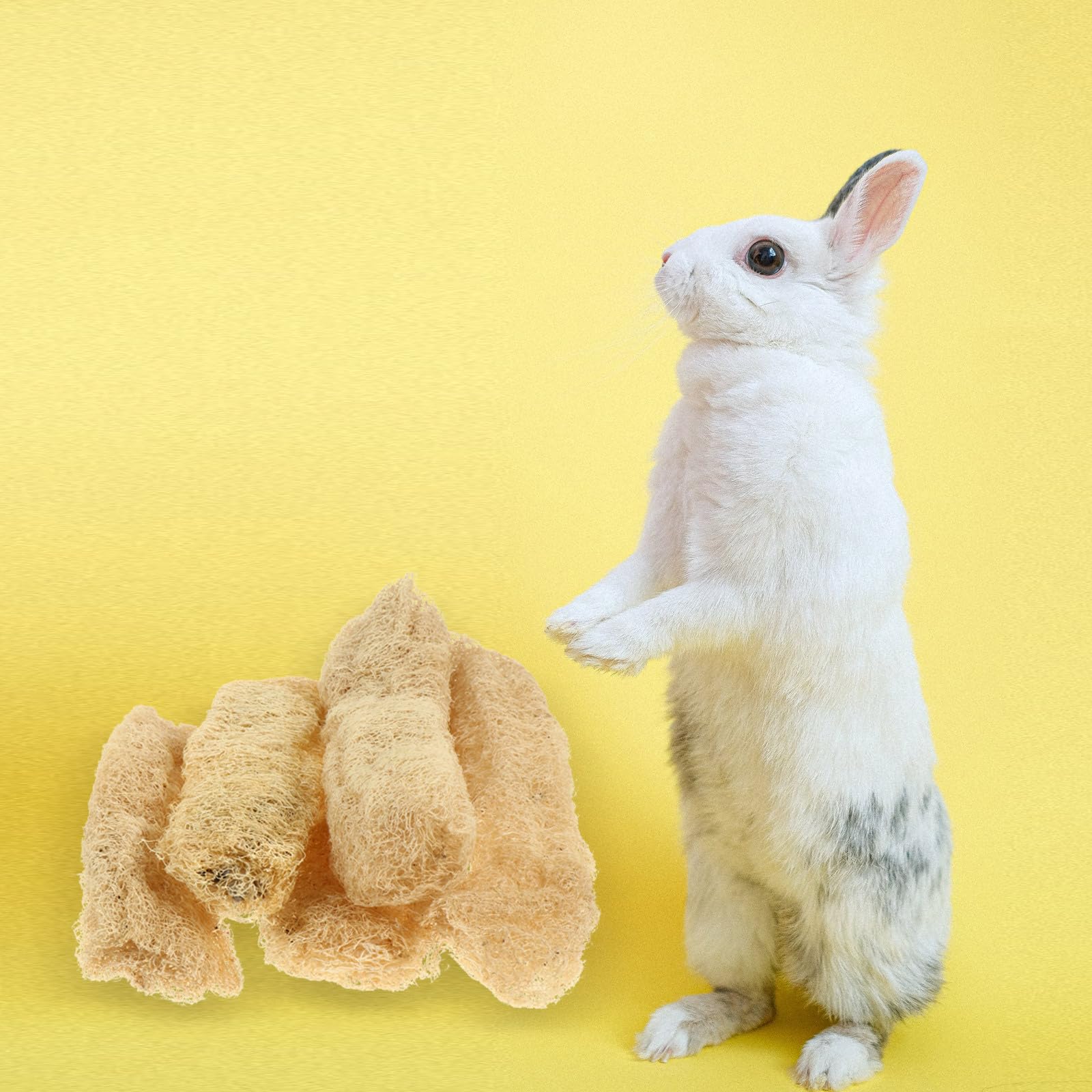 5pcs Natural Loofah Chewing Toys for Dogs, Cats, Small Pets - Teeth Cleaning & Dental Care Chew Toys for Rabbits, Hamsters, Guinea Pigs, Chinchillas - Perfect for Bath Time, Playtime & Molar Health