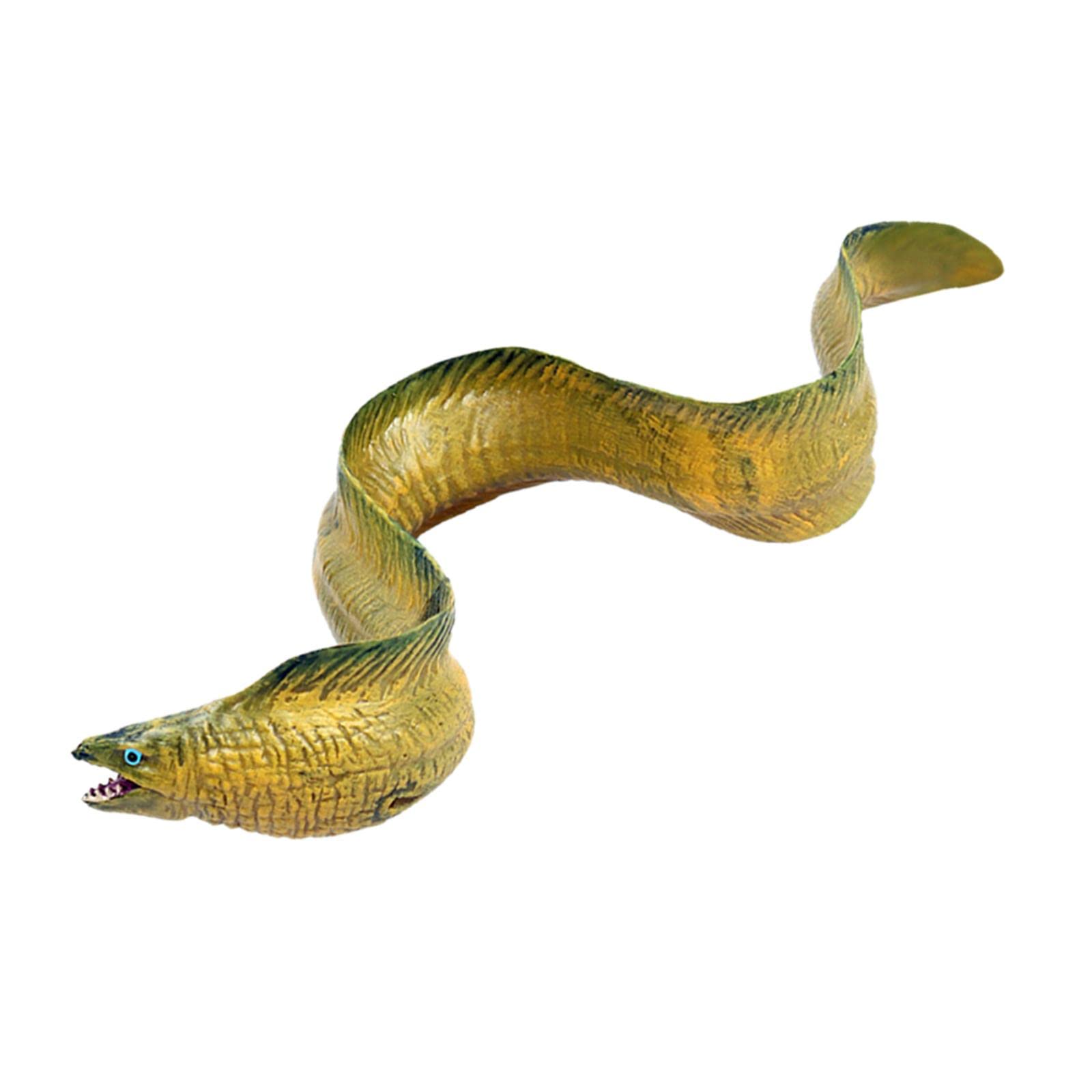 Menolana EEL Figure Toy - Realistic Animal Figurines Playset for Kids, Educational Learning Toys for Boys & Girls - Perfect for Classroom, Birthday Gifts & Pretend Play