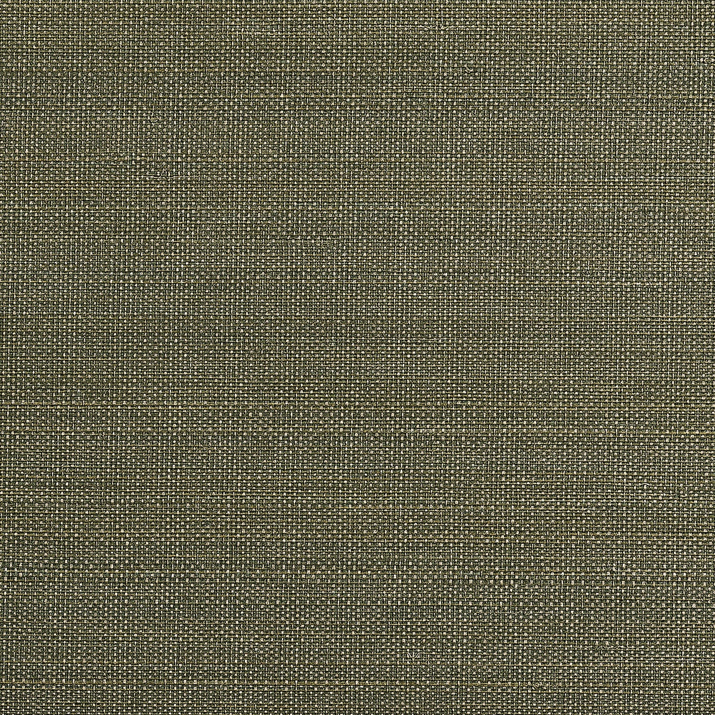 10623 | Abaca Royale Verdant Phillip Jeffries Wallpaper - Premium Natural Fiber Wall Covering for Luxury Home & Office Interiors