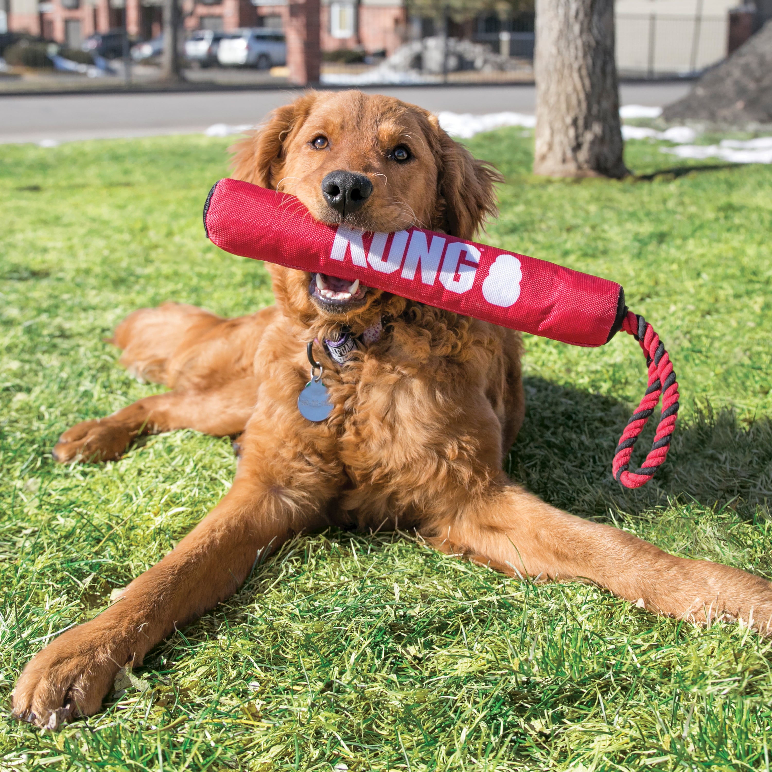 Durable KONG Signature Stick Dog Toy with Rope - Perfect for Fetch, Chewing & Training - Strong Chewers & Active Dogs