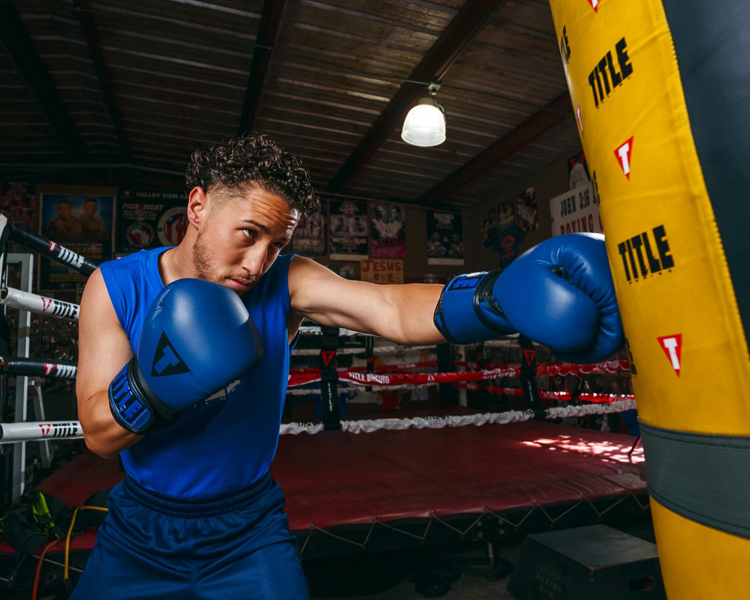 TITLE Boxing Dauntless Training Boxing Gloves for Men & Women - Premium MMA, Kickboxing, and Heavy Bag Workouts - Ideal for Gym, Home Training, and Fitness Enthusiasts