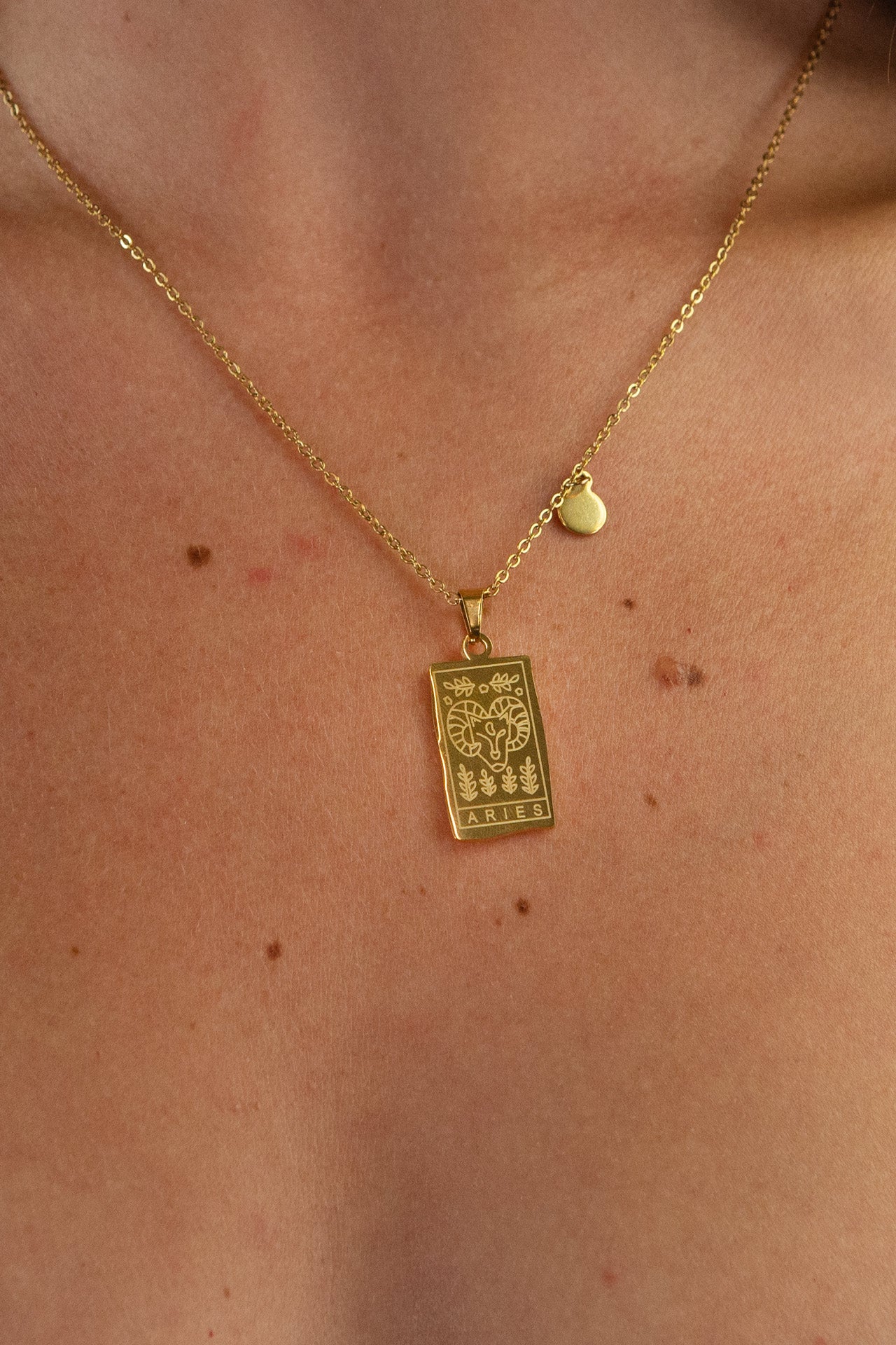 Vada's Zodiac Pendant Necklace - 12 Astrology Signs Horoscope Jewelry for Women - Perfect Birthday Gift & Everyday Wear for Aries, Taurus, Gemini, Leo, Virgo, Libra, Scorpio, Sagittarius, Capricorn, Aquarius, Pisces