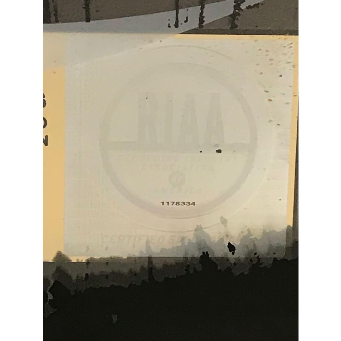 Drowning Pool Sinner RIAA Gold Album Award - Certified Gold Record for Rock Music Fans | Perfect for Home Display, Music Collections & Rock Memorabilia