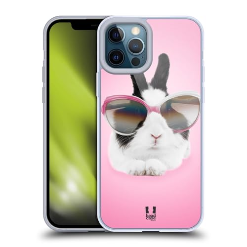 Pretty Bunny In Sunglasses