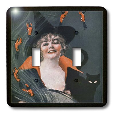 Happy Witch and Black Cat Double Toggle Switch - 3dRose lsp_36408_2 - Perfect for Halloween Decor, Witchcraft Room, and Gothic Home Accessories