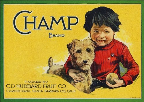 A SLICE IN TIME Vintage Carpinteria Champ Airedale Terrier Puppy Dog Lemon Citrus Fruit Crate Box Label Art Print - Perfect for Farmhouse Decor, Kitchen Wall Art & Retro Gift Ideas