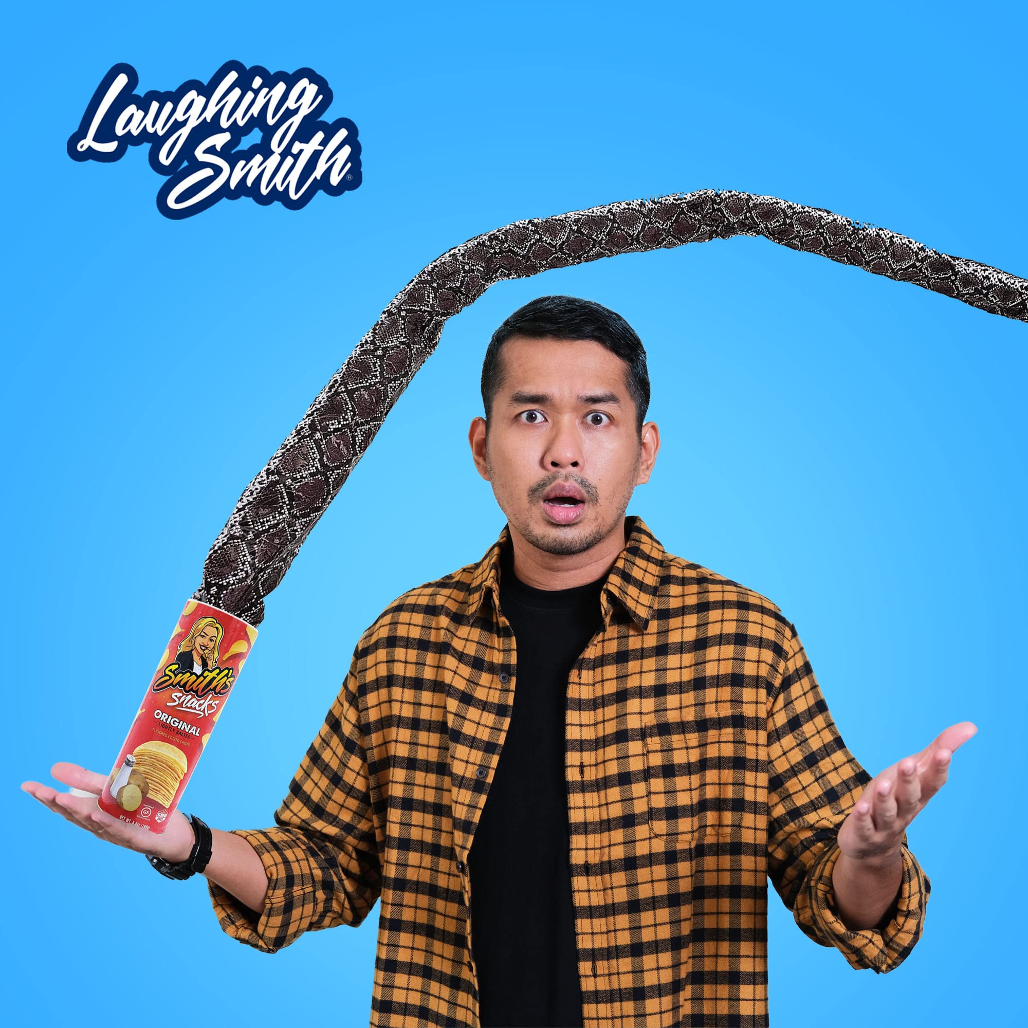 Smith's Snacks Potato Chip Snake Prank Can - Hilarious Fake Snake Surprise Gift for Teens & Adults (Ages 14+) - Perfect for April Fools' Day, Halloween Pranks & Office Jokes