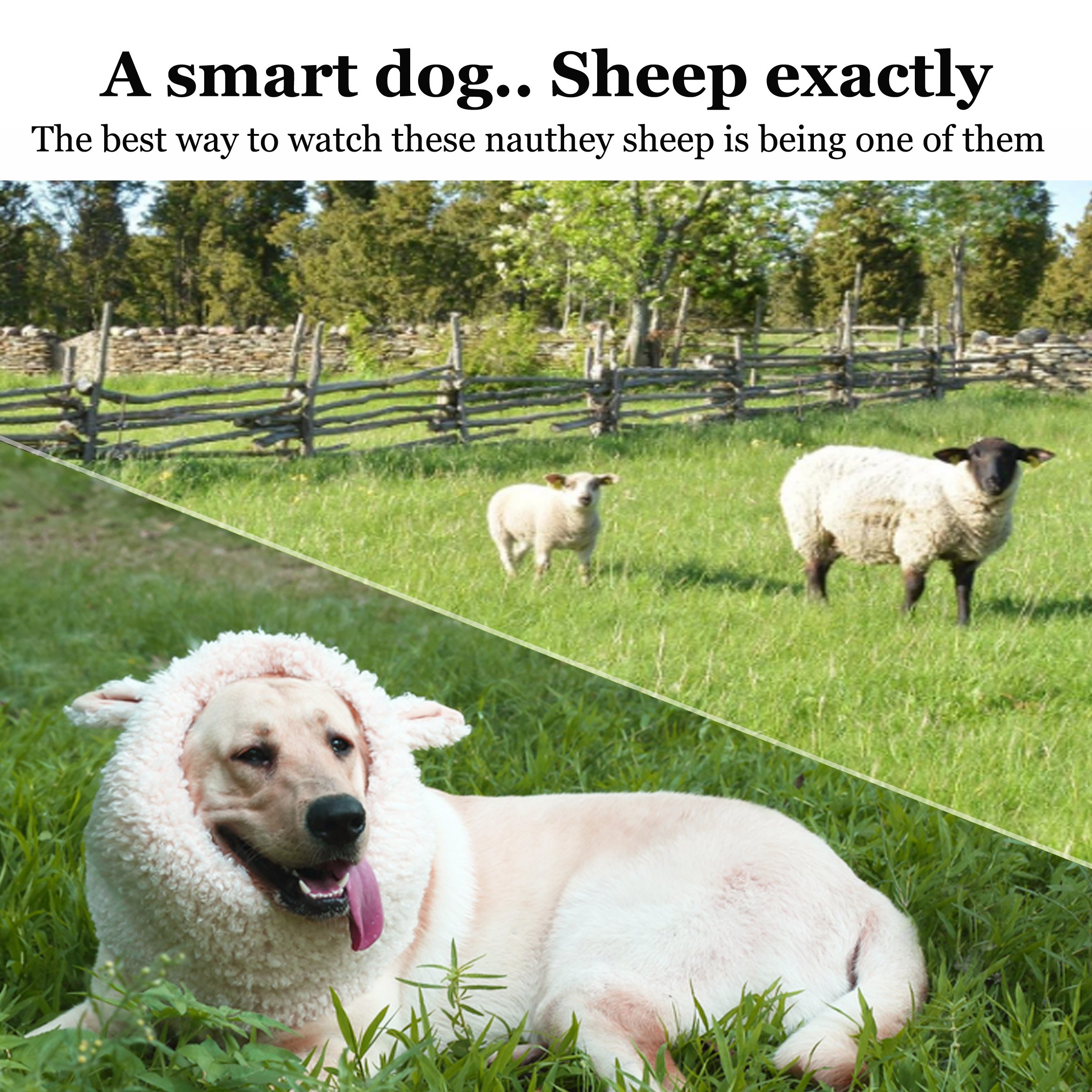 Funny Sheep Dog Costume - Cute Furry Pet Wig for Halloween & Christmas - Size L for Playful Dress-Up