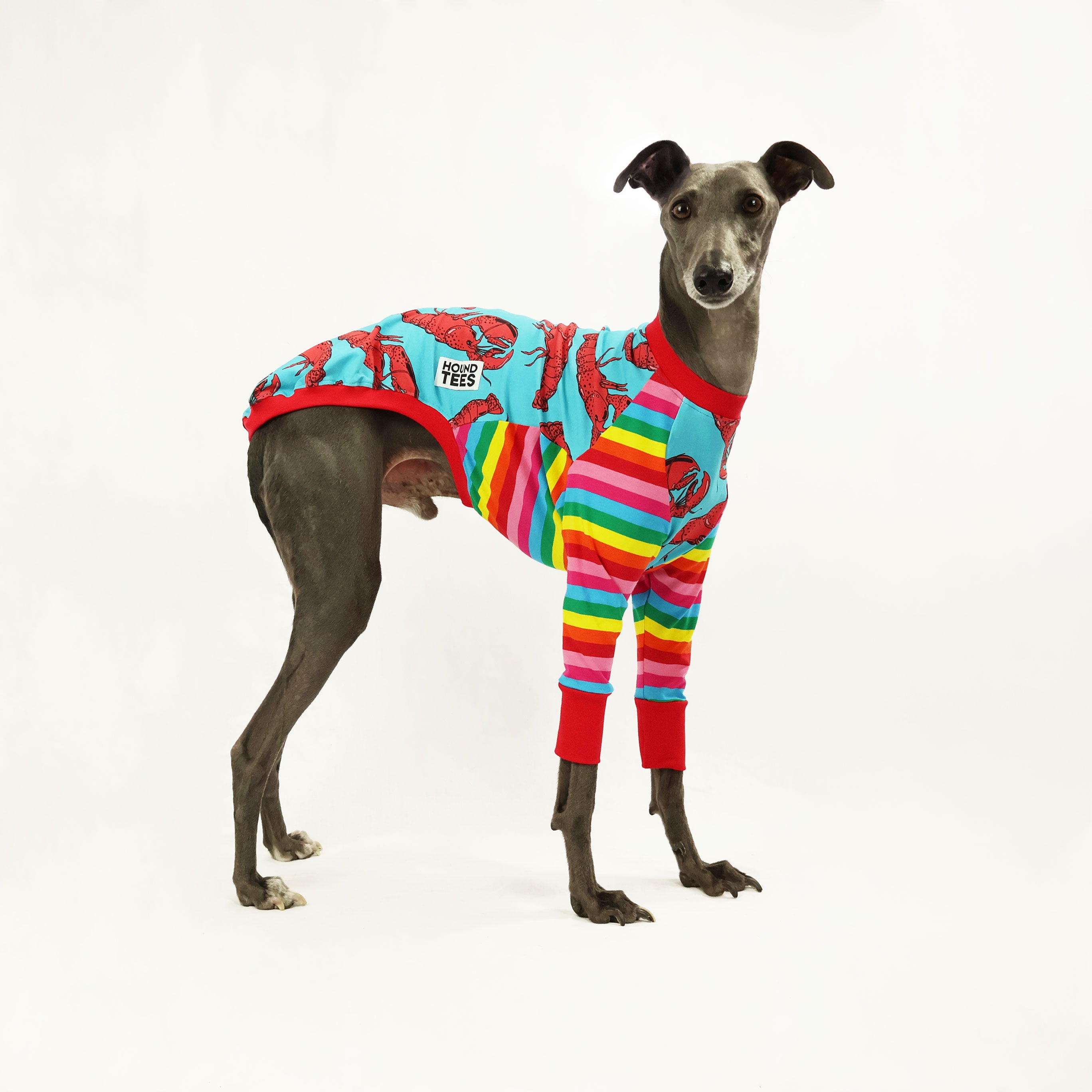 Rock Lobster Whippet Long Sleeve Hound T-Shirt - Comfortable Dog Lover Apparel for Casual Wear & Outdoor Adventures