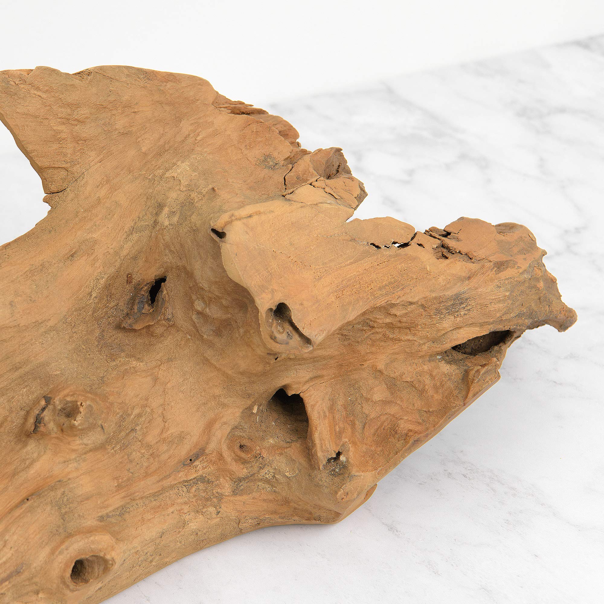 Premium Teak Root Sculpture for Home Decor - Natural Bleached Finish | Perfect for Living Room, Office & Zen Spaces