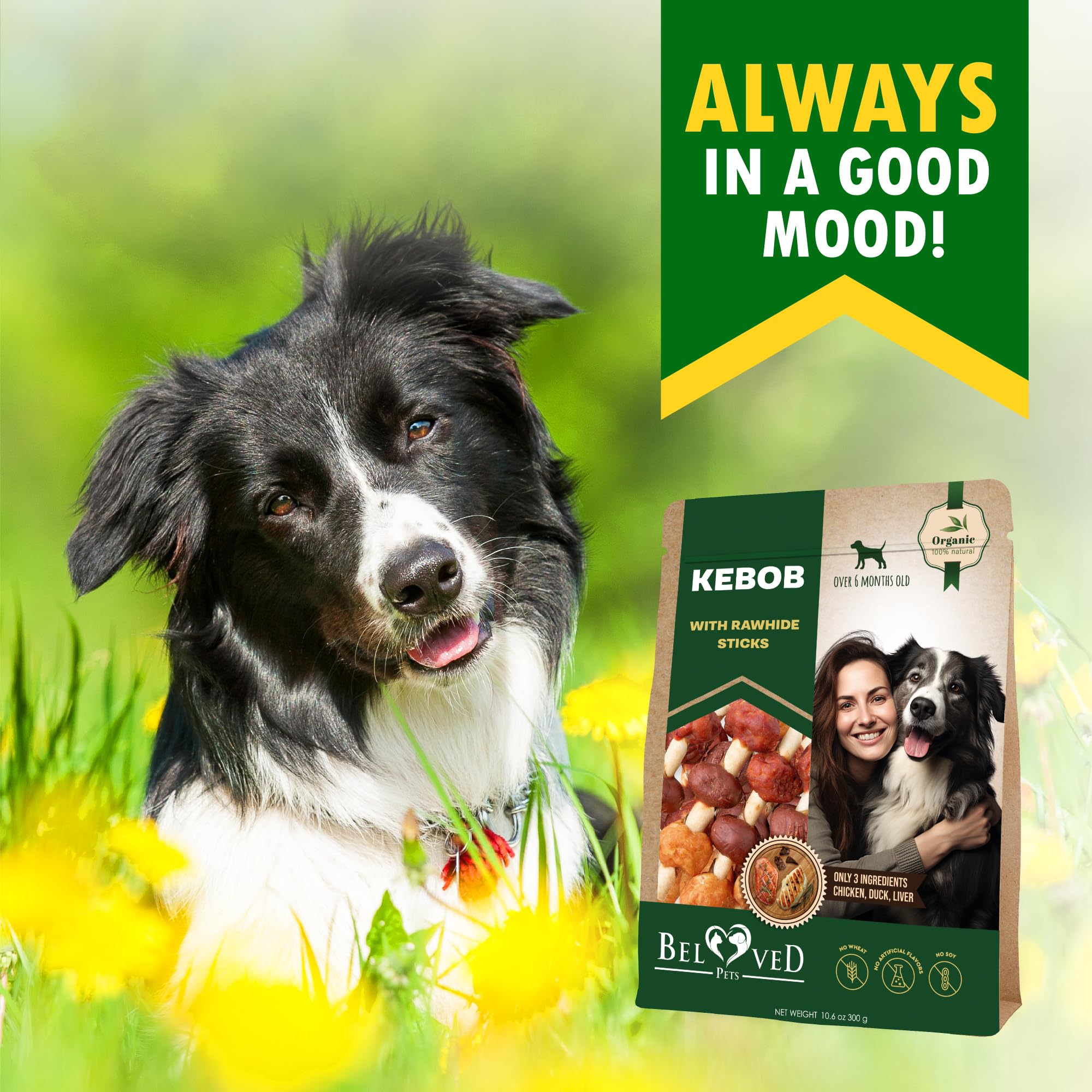 Premium All-Natural Dog Treats - Human-Grade Duck & Chicken Rawhide Kabobs | Grain-Free, Organic Dried Chews for Small & Large Dogs | Long-Lasting Dental Sticks for Teeth Cleaning & Training Rewards | Perfect for Puppy Training, Teething Relief & Behavioral Rewards