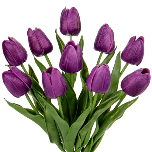 Purple #10