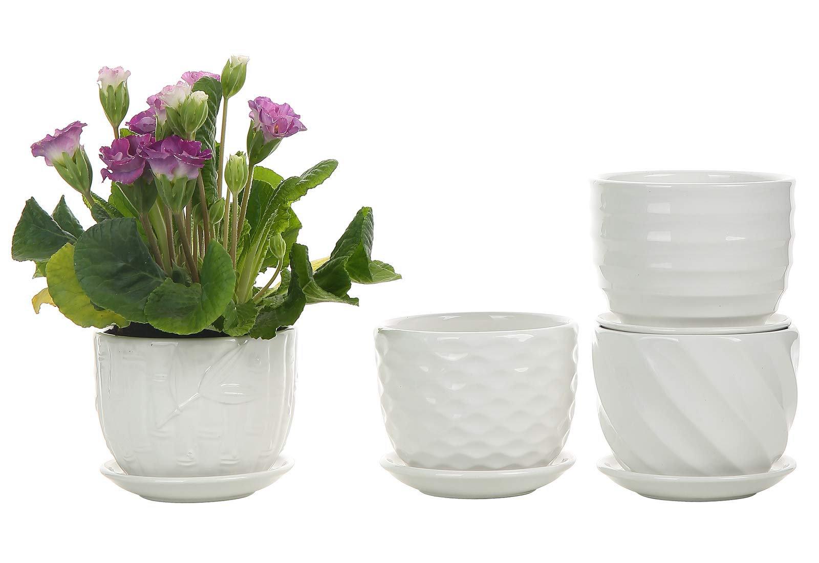 Premium White Ceramic Plant Pots Set of 8 - 5.5&4.1 Inch Cylinder Planters with Drainage Saucers for Succulents, Herbs, Cactus, Flowers | Indoor Gardening, Home & Office Decor, Housewarming Gift