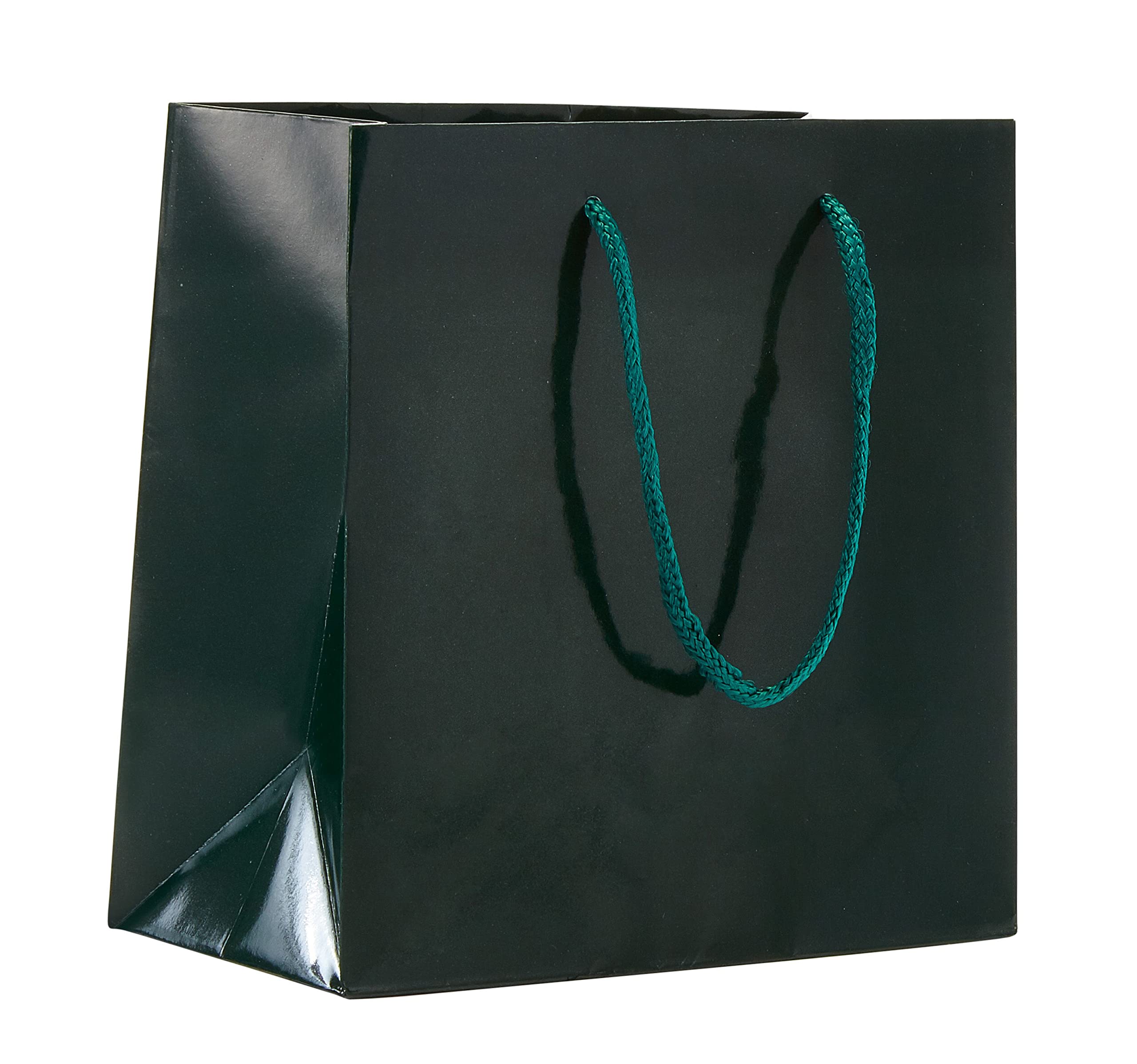 Eco-Friendly Reusable Paper Euro Tote Bags - 6.5