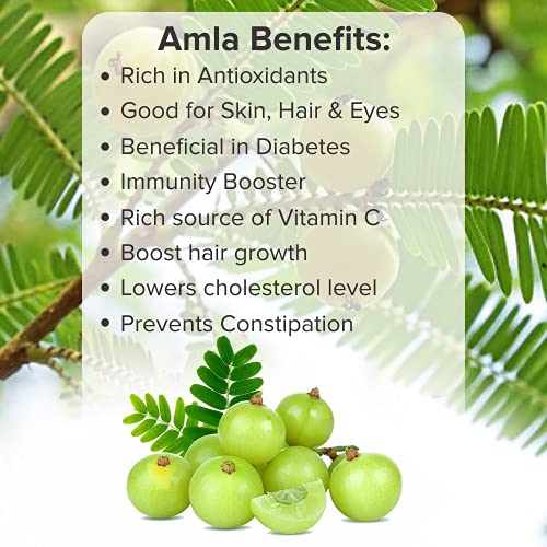 Organic Amla Powder (Indian Gooseberry) - 200g for Hair Growth, Skin Care & Immunity Boost | Natural Health Supplement for Smoothies, Tea & DIY Beauty Recipes