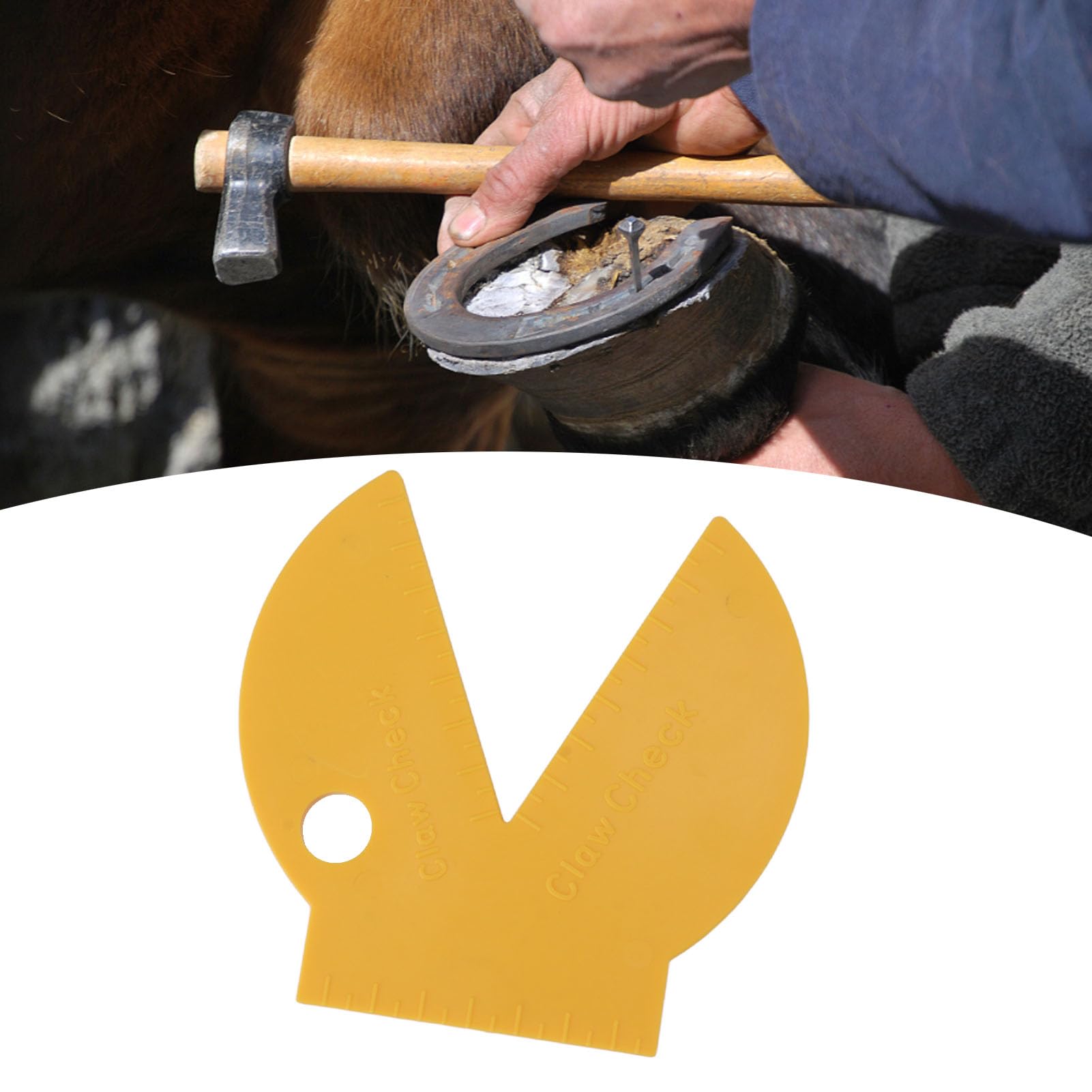 JUOPZKENN Hoof Claw Check Gauge - Durable Engineering Plastic Measurement Tool for Cattle Cow Hoof Trimming - Veterinary Farm Equipment for Accurate Diagnosis & Livestock Care