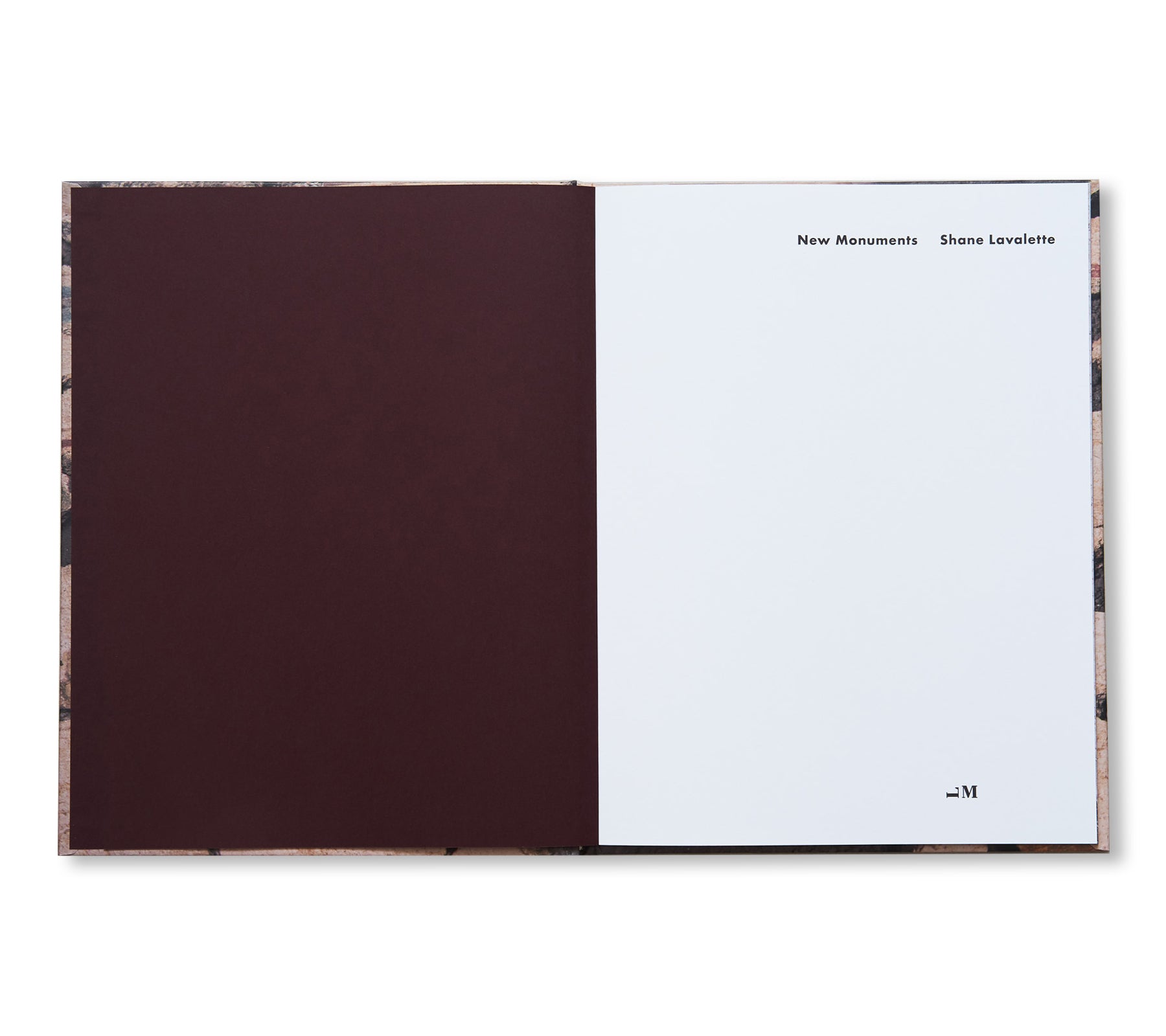 Shane Lavalette NEW MONUMENTS - Limited Edition Art Photography Book for Collectors | Perfect for Home Decor, Gallery Displays & Photography Enthusiast Gifts