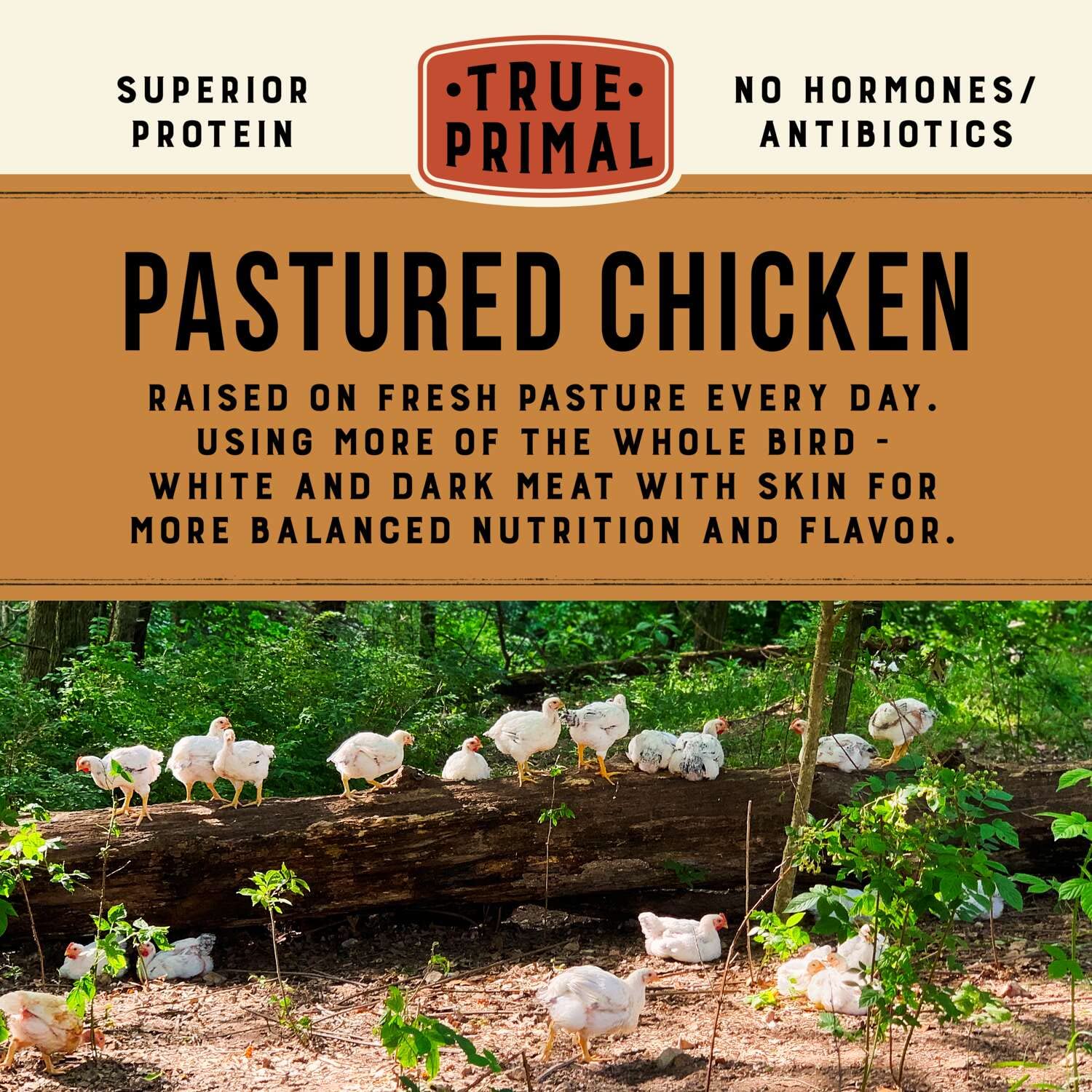 True Primal Tuscan-Style Chicken Soup 8-Pack | Ready to Eat Gluten-Free & Paleo | Pasture-Raised Chicken Bone Broth | Whole30 Approved | Perfect for Quick Meals, Camping & Healthy On-the-Go Nutrition