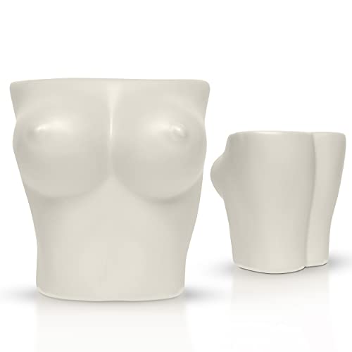 Whitev4